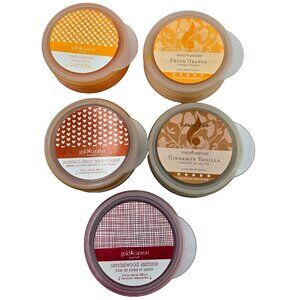 Gold Canyon Scent Pods Fresh Orange Pumpkin Berry Spice Cookie Cinnamon Vanilla